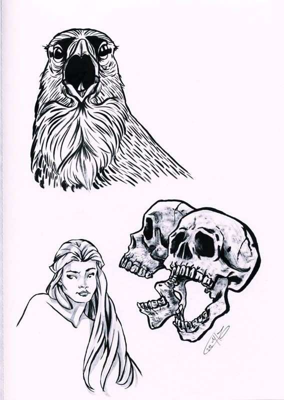 IndianInk_Sketches_Small.jpg