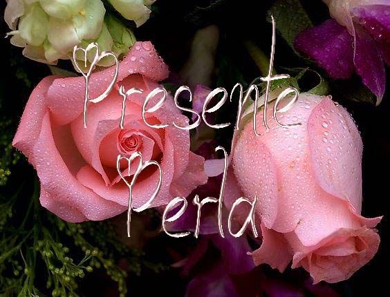  photo 996519perla_zps7f67ce69.jpg