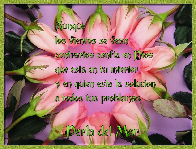  photo confia_zpse94ff9a8.jpg