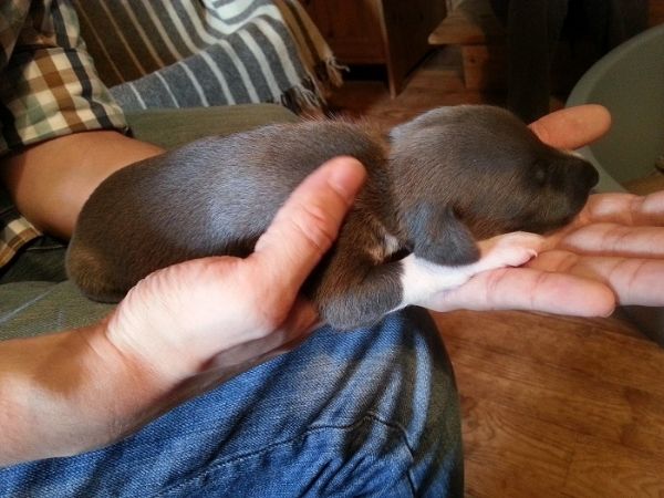 34795e3b-650d-471f-b652-783baa4830e2_zps