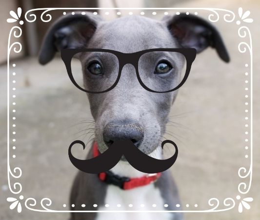 3f9e5389-197c-4135-9e5a-64fd9eeea2cc_zps