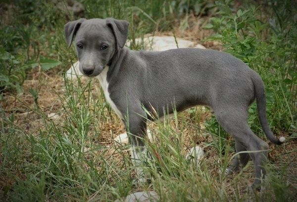 51ee4cec-d312-4619-b44f-79dc177e2163_zps