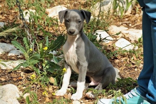 9b3e3872-6d52-42d5-95a7-f3fafb9277b8_zps