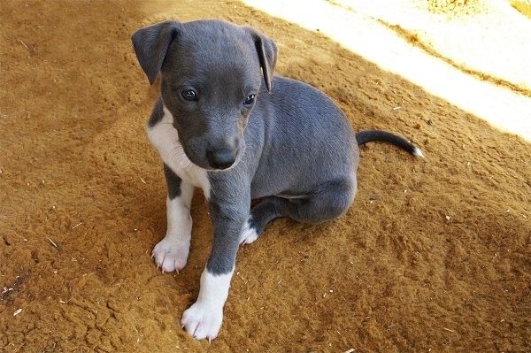 cfe754b6-4d87-41e6-94ba-35f099b66b2e_zps