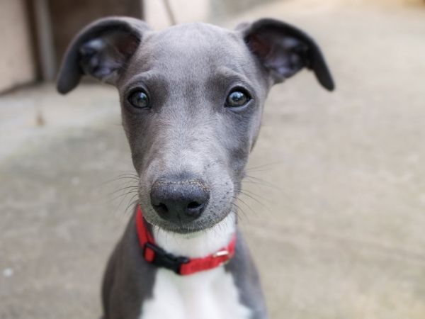 e2b7bcca-9108-482a-aa00-e0e42e09bce8_zps