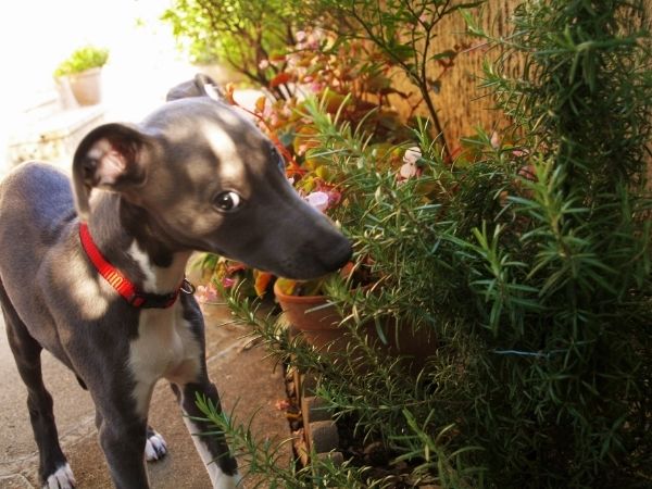 fb04cdc7-48e4-4cb3-99df-29fc8410cea9_zps