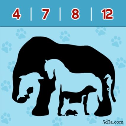 Tricks1_zps1bcf2d5a.jpg