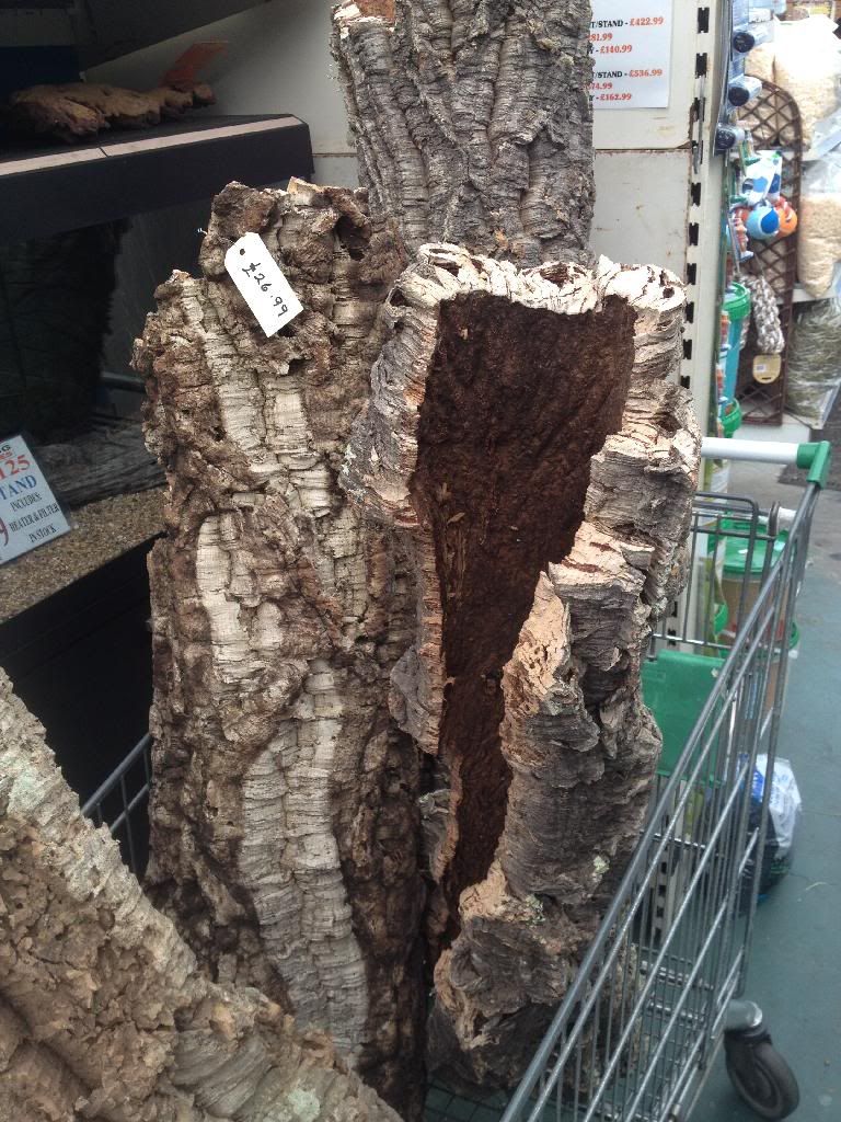 Cork bark? Rabbits United Forum