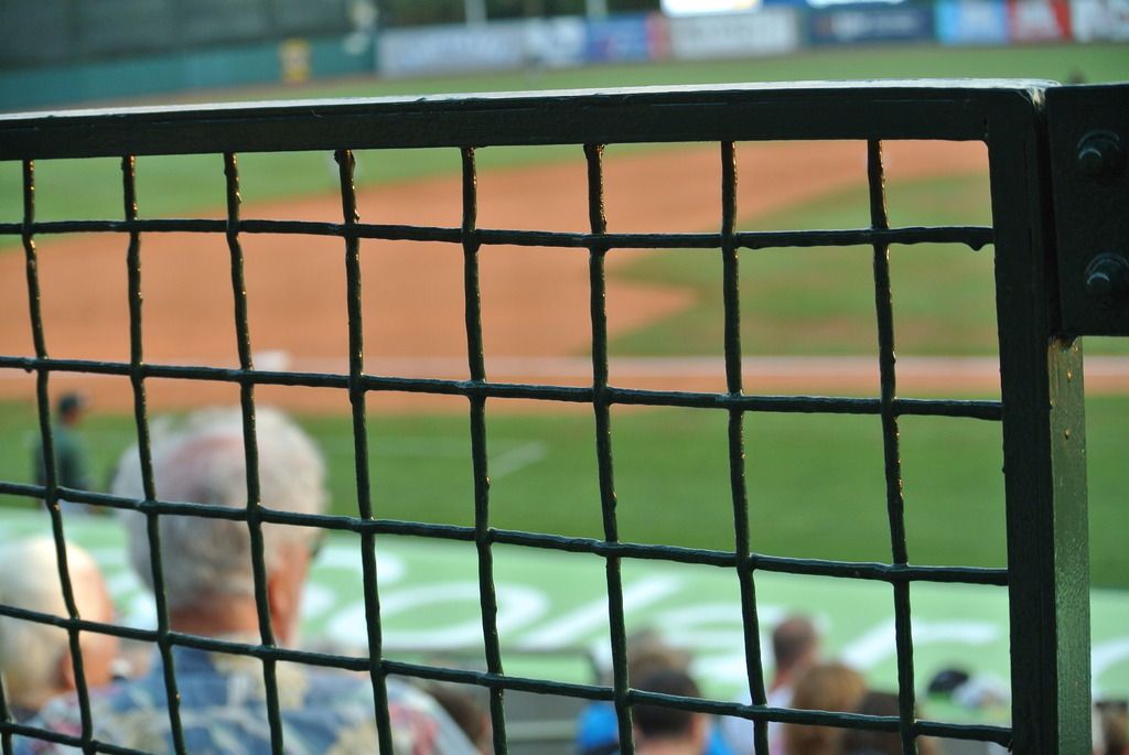 things to do in charleston sc: riverdogs baseball game