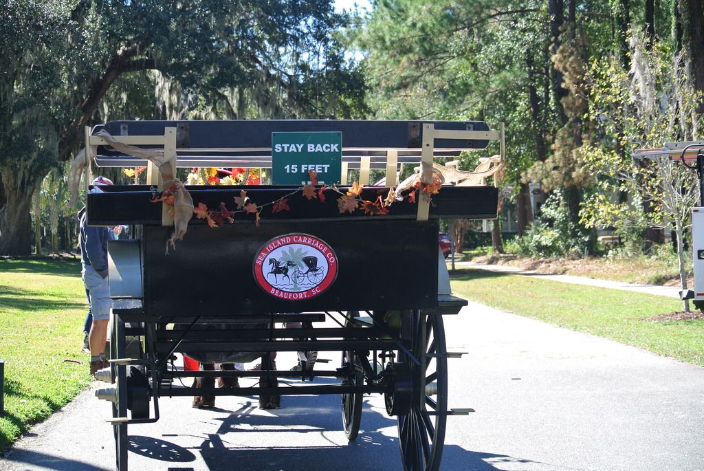 habersham horse drawn carriage rides south carolina