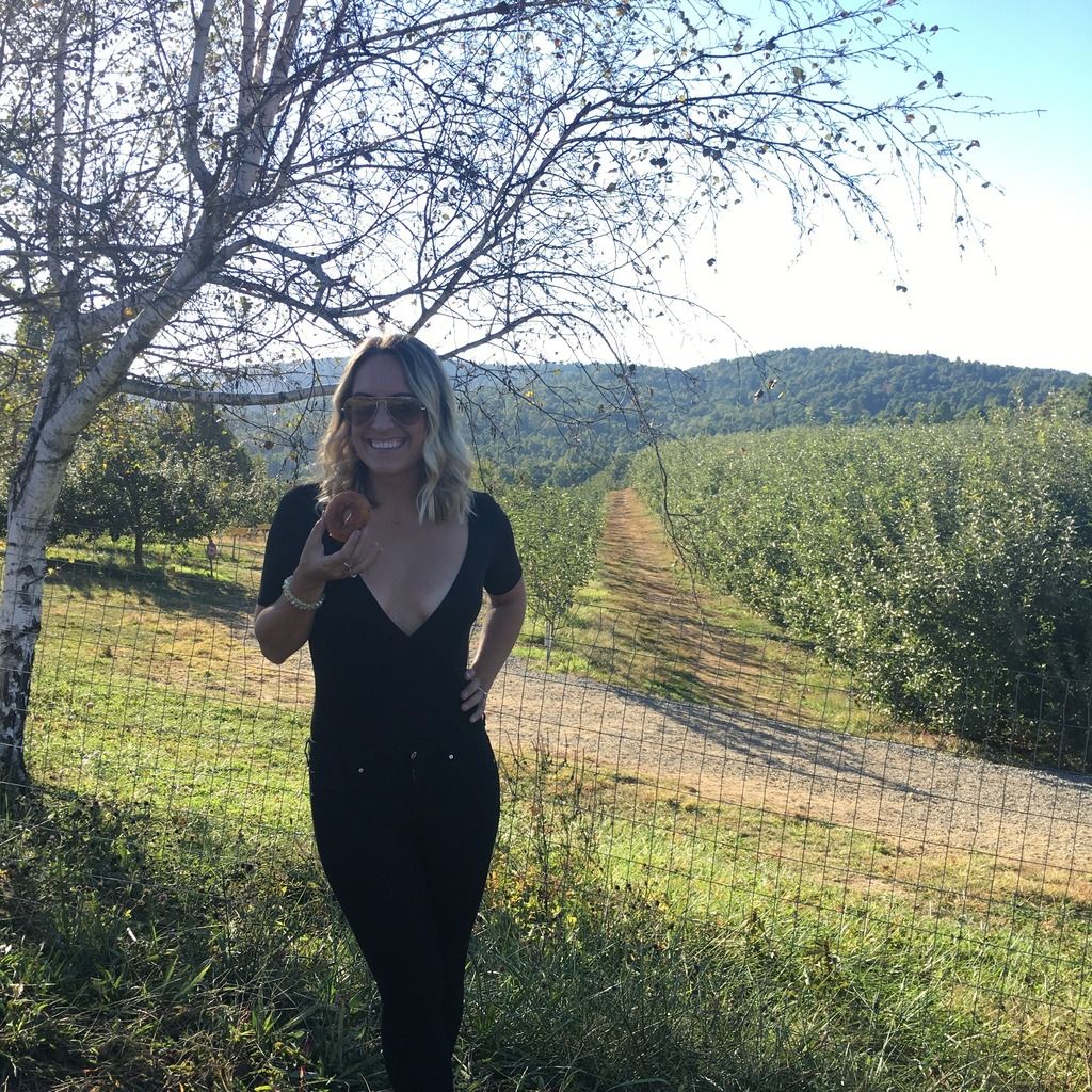 apple cider donuts north carolina