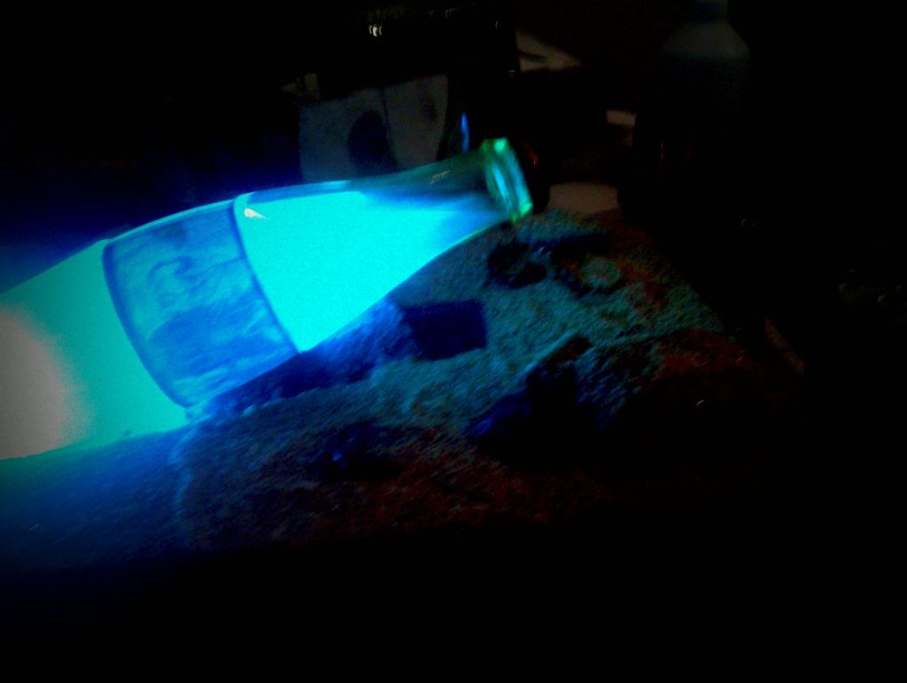 IMAG0529.jpg