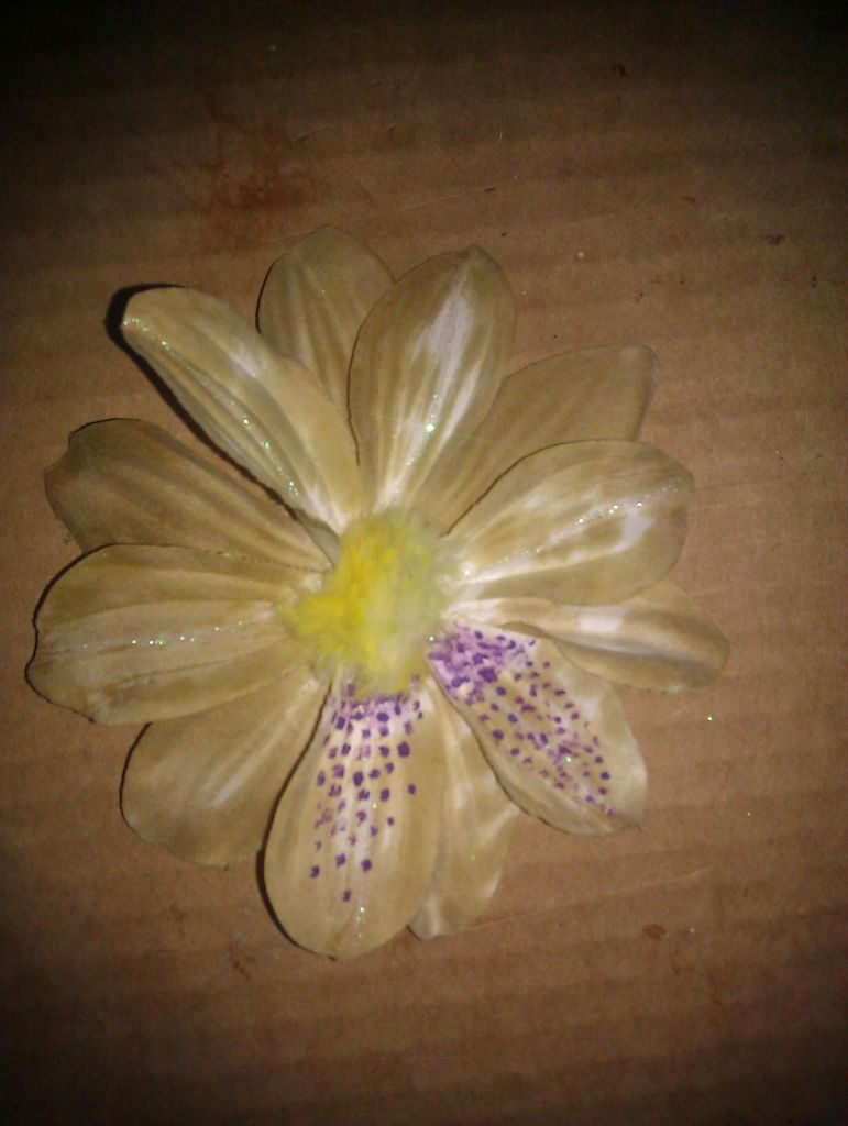 IMAG0657.jpg