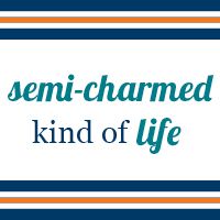 Semi-Charmed Kind of Life