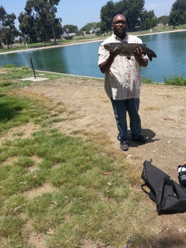 7/14/13 California Ghetto Cats