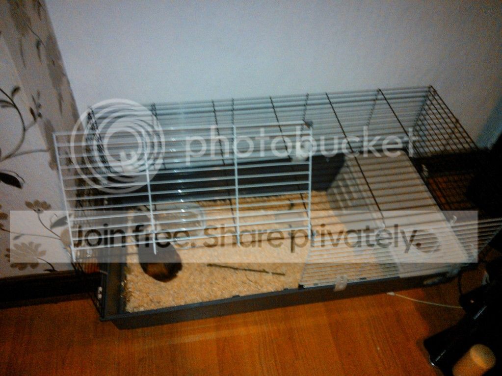 01f3bd87.jpg
