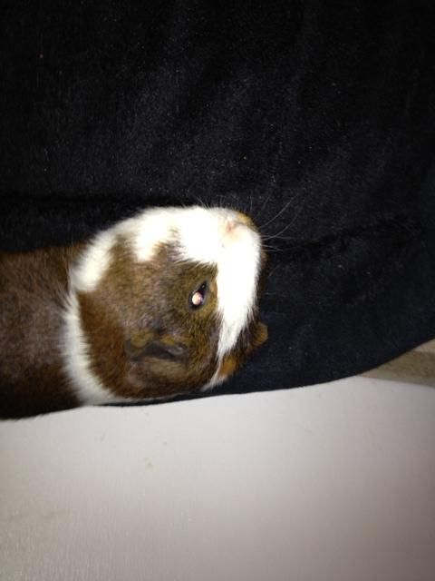 image2.jpeg