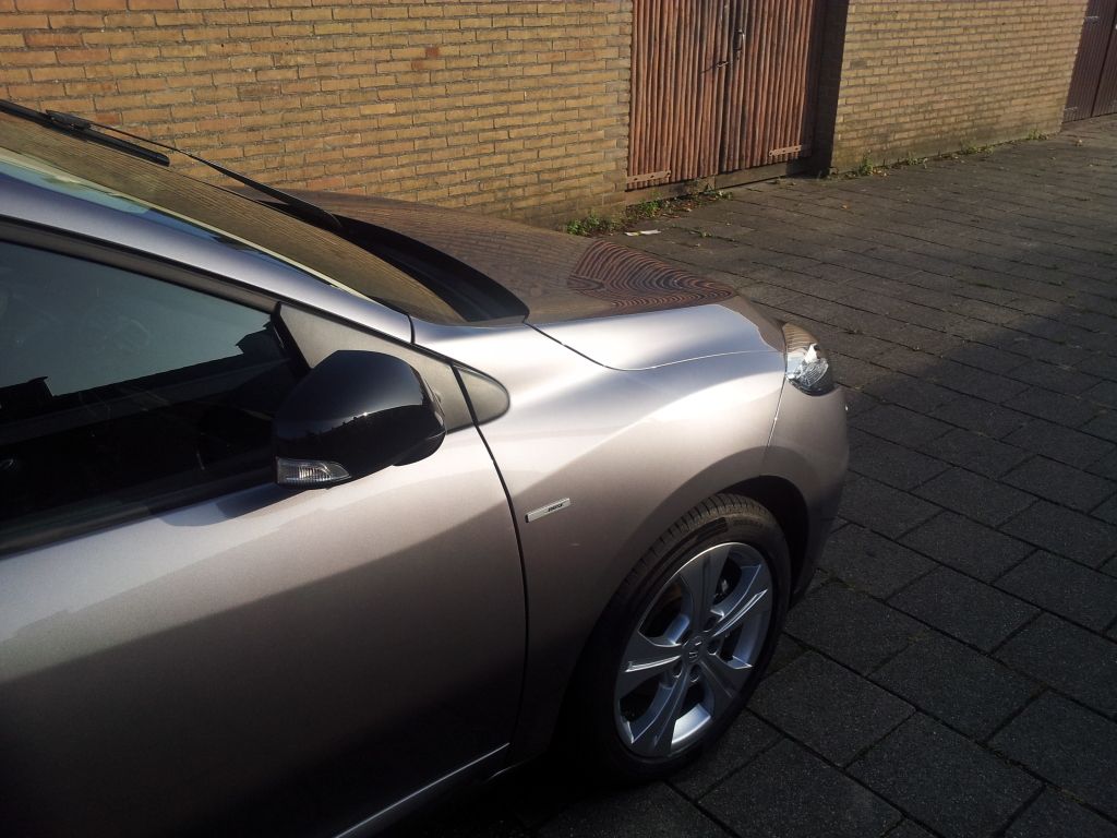 Megane-zijkant.jpg